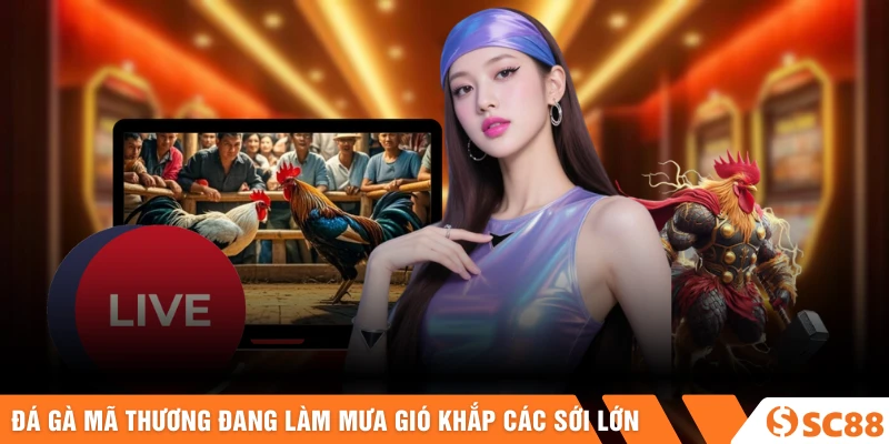 Đá gà mã thương đang làm mưa gió khắp các sới lớn