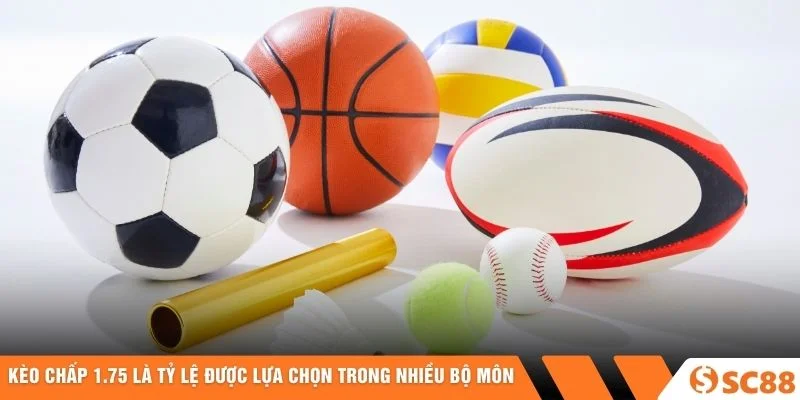 Kèo chấp 1.75 là tỷ lệ được lựa chọn trong nhiều bộ môn
